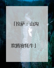 拉萨：山沟欢腾赛牦牛