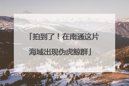 拍到了！在南通这片海域出现伪虎鲸群