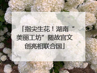 指尖生花！湖南“美丽工坊”随故宫文创亮相联合国
