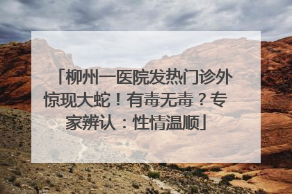 柳州一医院发热门诊外惊现大蛇！有毒无毒？专家辨认：性情温顺