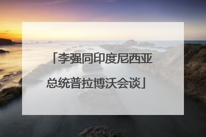 李强同印度尼西亚总统普拉博沃会谈