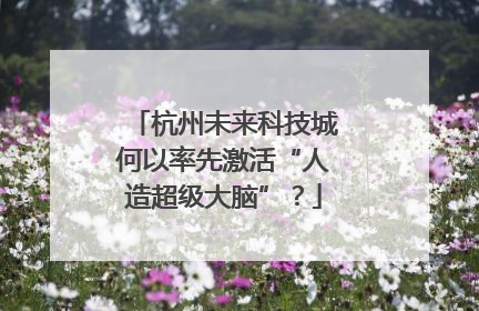 杭州未来科技城何以率先激活“人造超级大脑”？