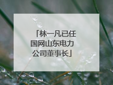 林一凡已任国网山东电力公司董事长