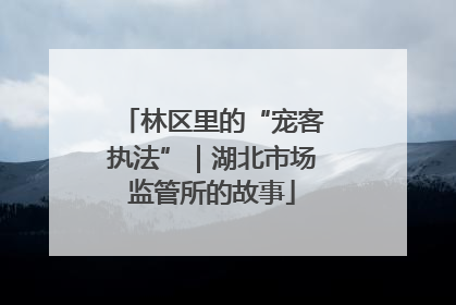 林区里的“宠客执法”｜湖北市场监管所的故事