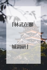 林武在聊城调研