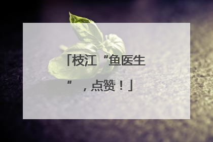 枝江“鱼医生”，点赞！