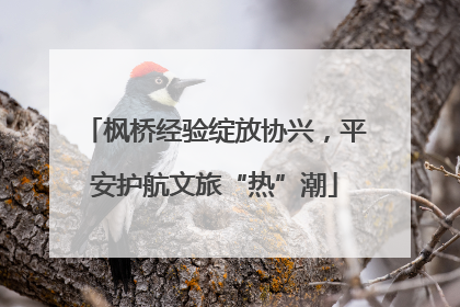 枫桥经验绽放协兴，平安护航文旅“热”潮