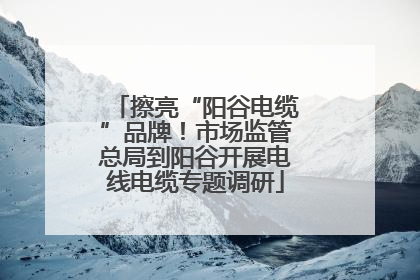 擦亮“阳谷电缆”品牌！市场监管总局到阳谷开展电线电缆专题调研