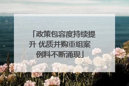 政策包容度持续提升 优质并购重组案例料不断涌现