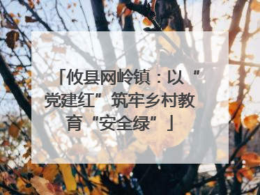 攸县网岭镇：以“党建红”筑牢乡村教育“安全绿”