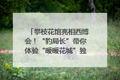 攀枝花馆亮相西博会！“豹局长”带你体验“暖暖花城”独特魅力｜西博视界