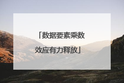 数据要素乘数效应有力释放