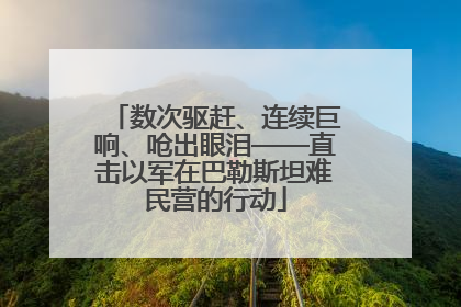 数次驱赶、连续巨响、呛出眼泪——直击以军在巴勒斯坦难民营的行动