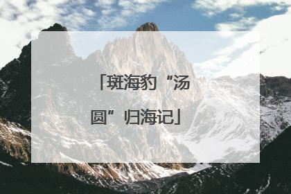 斑海豹“汤圆”归海记