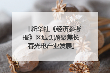新华社《经济参考报》区域头题聚焦长春光电产业发展