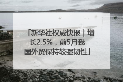 新华社权威快报｜增长2.5%，前5月我国外贸保持较强韧性