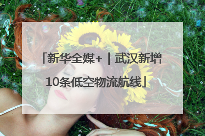 新华全媒+｜武汉新增10条低空物流航线