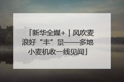 新华全媒+｜风吹麦浪好“丰”景——多地小麦机收一线见闻