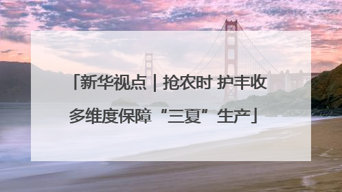 新华视点｜抢农时 护丰收 多维度保障“三夏”生产