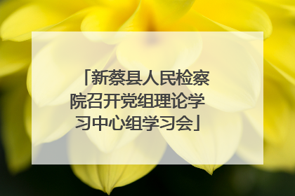新蔡县人民检察院召开党组理论学习中心组学习会