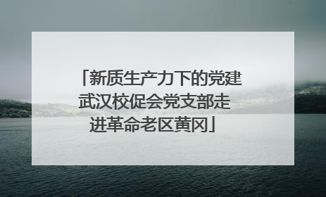 新质生产力下的党建 武汉校促会党支部走进革命老区黄冈