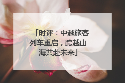 时评：中越旅客列车重启，跨越山海共赴未来