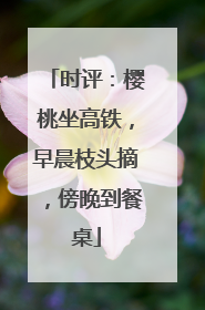 时评：樱桃坐高铁，早晨枝头摘，傍晚到餐桌