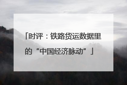 时评：铁路货运数据里的“中国经济脉动”