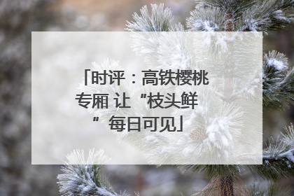 时评：高铁樱桃专厢 让“枝头鲜”每日可见