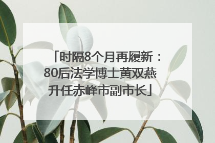 时隔8个月再履新：80后法学博士黄双燕升任赤峰市副市长