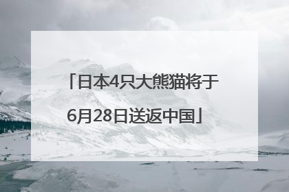 日本4只大熊猫将于6月28日送返中国