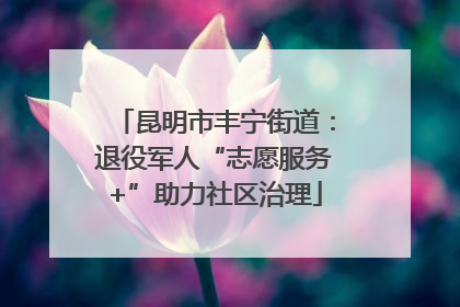 昆明市丰宁街道：退役军人“志愿服务+”助力社区治理