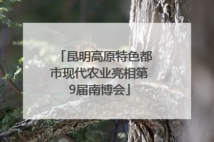 昆明高原特色都市现代农业亮相第9届南博会
