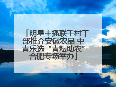 明星主播联手村干部推介安徽农品 中青乐选“青耘助农”合肥专场举办