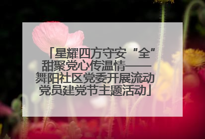 星耀四方守安“全” 甜聚党心传温情——舞阳社区党委开展流动党员建党节主题活动