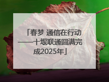 春梦 通信在行动——十堰联通圆满完成2025年