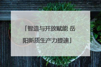 智造与开放赋能 岳阳新质生产力提速