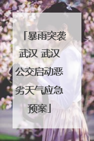 暴雨突袭武汉 武汉公交启动恶劣天气应急预案