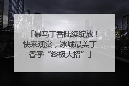 暴马丁香陆续绽放！快来观赏，冰城最美丁香季“终极大招”