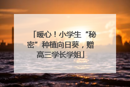 暖心！小学生“秘密”种植向日葵，赠高三学长学姐