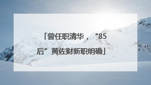 曾任职清华，“85后”黄佐财新职明确
