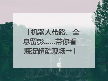 机器人带路、全息留影……带你看海淀超酷现场→