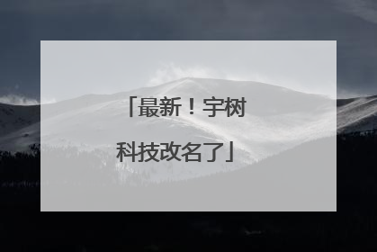 最新！宇树科技改名了