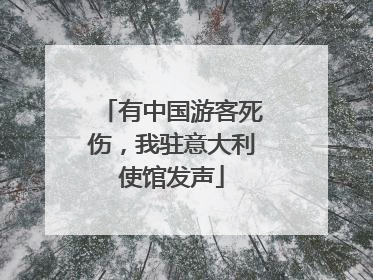 有中国游客死伤，我驻意大利使馆发声