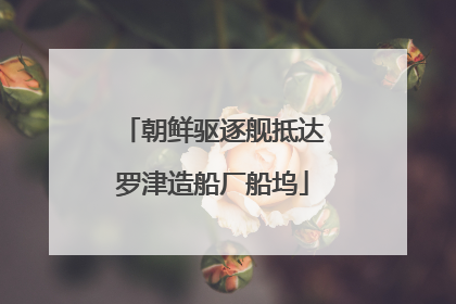 朝鲜驱逐舰抵达罗津造船厂船坞