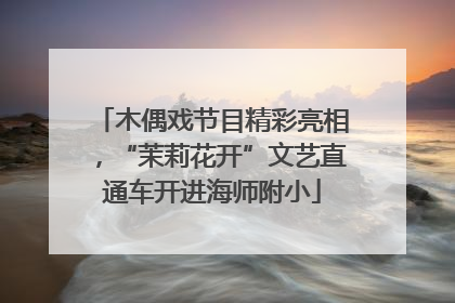 木偶戏节目精彩亮相，“茉莉花开”文艺直通车开进海师附小