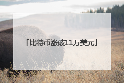 比特币涨破11万美元