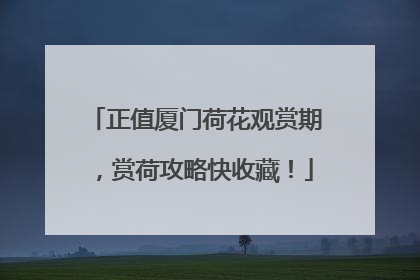 正值厦门荷花观赏期，赏荷攻略快收藏！