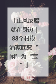 正风反腐就在身边｜88个村摸清家底变“闲”为“宝”