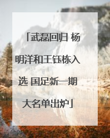 武磊回归 杨明洋和王钰栋入选 国足新一期大名单出炉